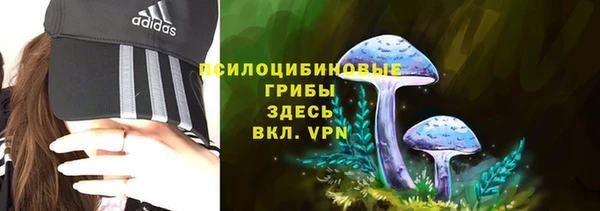 мескалин Балахна